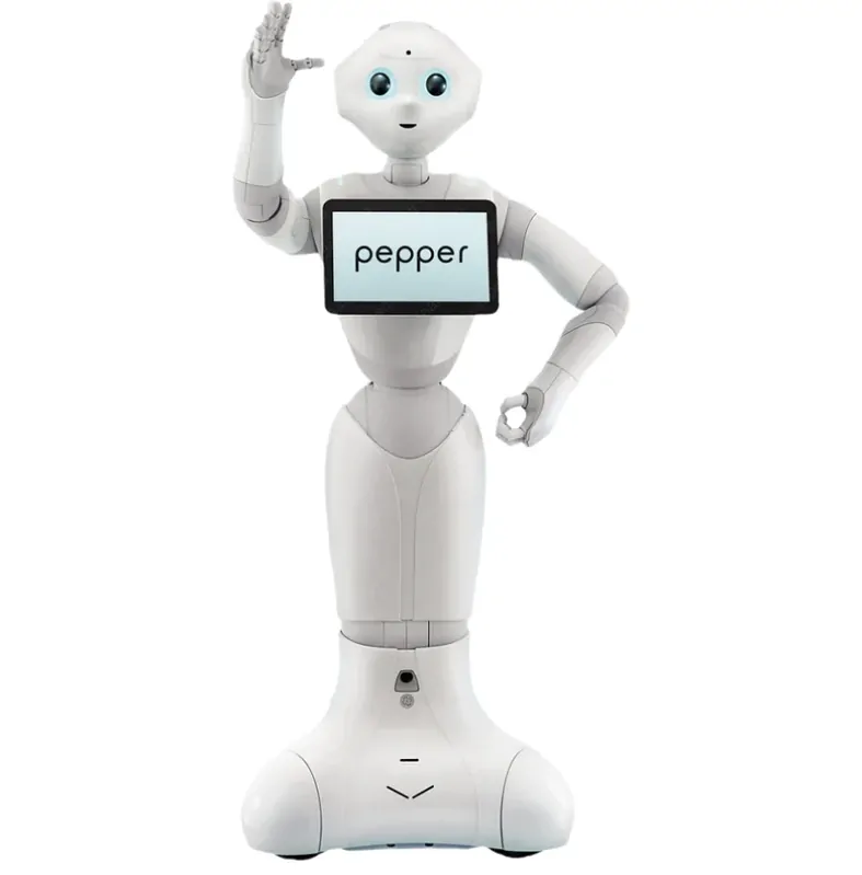 Vzdělávací robot – Unitree Go2