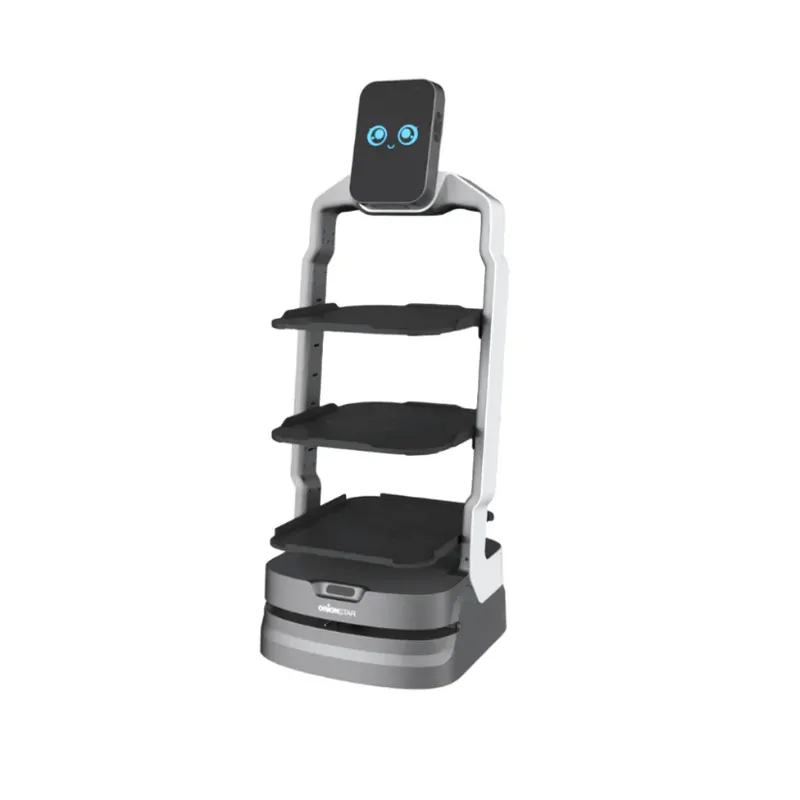 Hot Wheel Robot Chassis