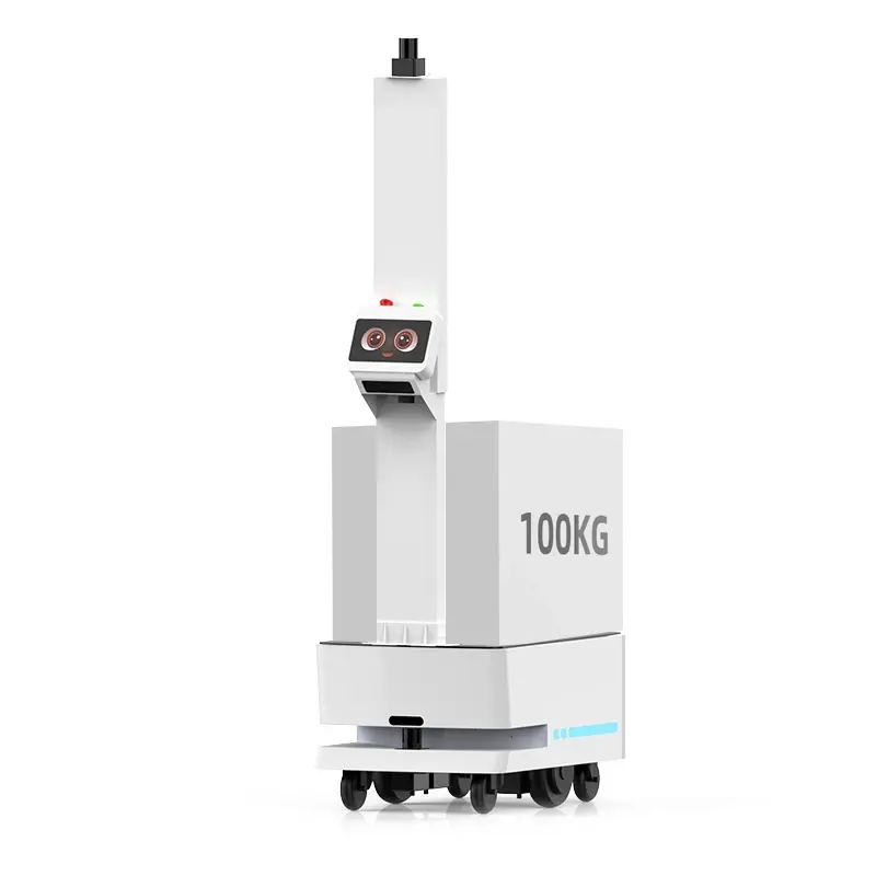 REEMAN 300 KG Payload AGV AMR