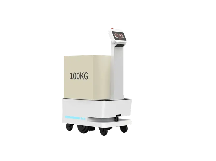 Mini Autonomous Forklift