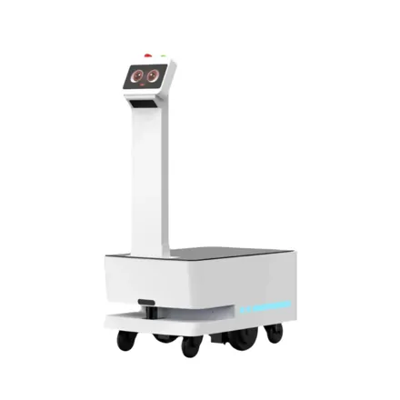 Skladový robot –BigDog2.0