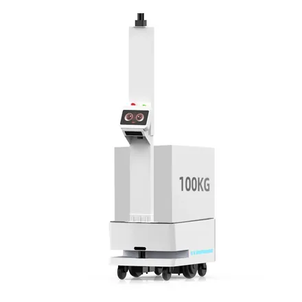 REEMAN 300 KG Payload AGV AMR