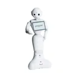 Vzdělávací robot – Unitree Go2