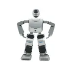 Humanoidní servisní robot – Pepper