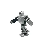 Humanoidní servisní robot – Nao