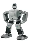 Humanoidní servisní robot – Pepper