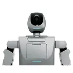 Humanoidní servisní robot – Nao