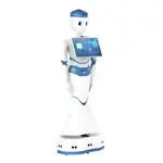 Humanoidní servisní robot – Reeman