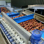 Direct drive Valčeková sušička