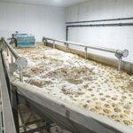 Ponorná vaňa s predmáčaním